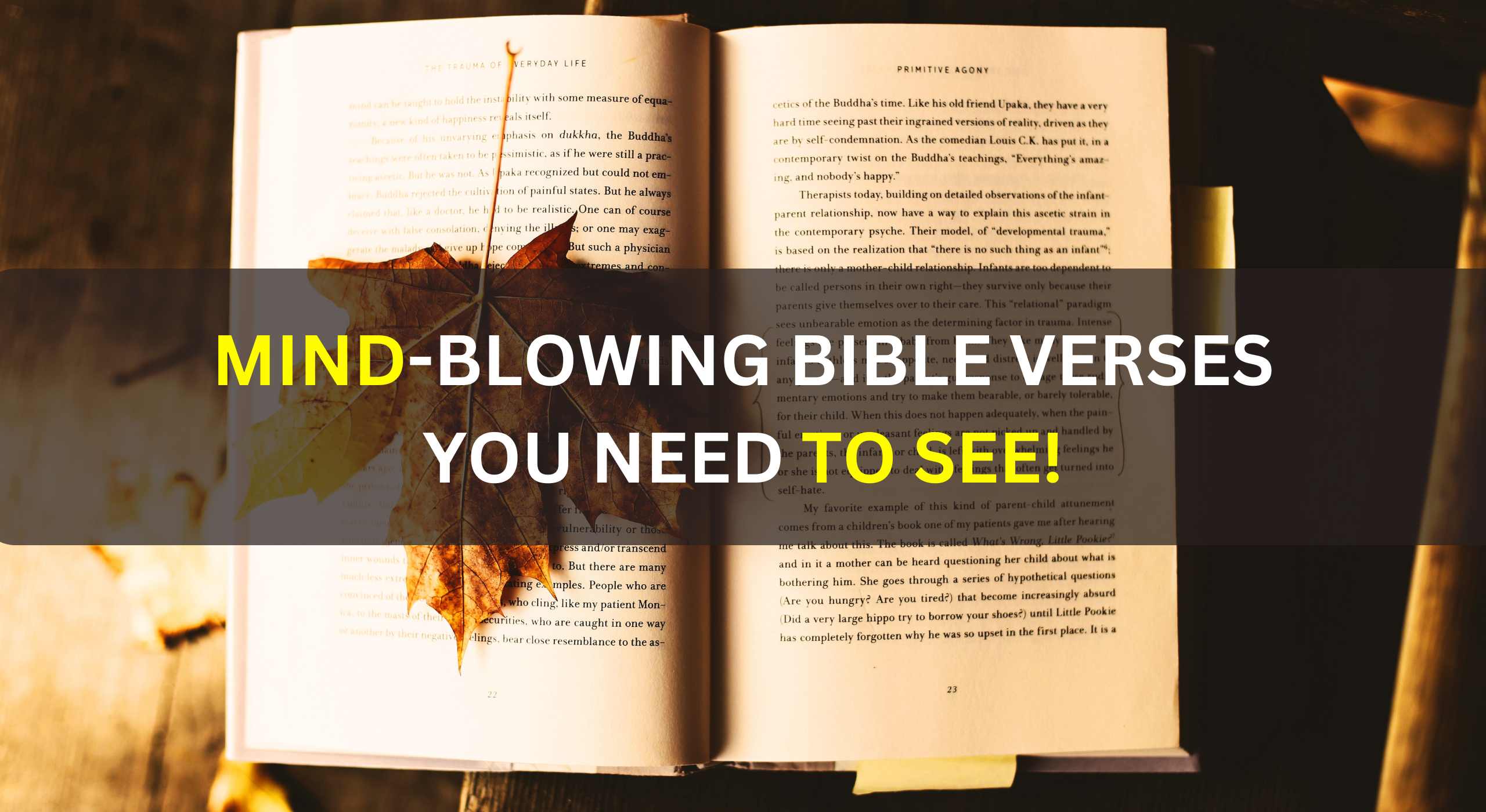 Mind-Blowing Bible Verses You Need to See!